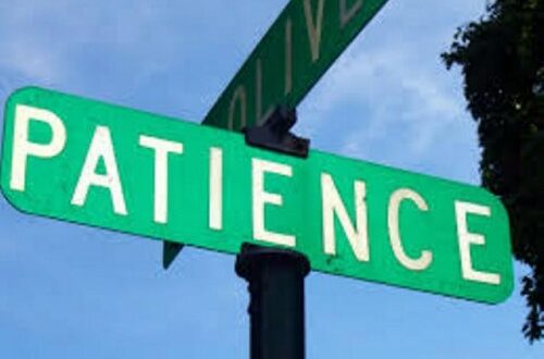 Article : La patience : une bien rare vertu !